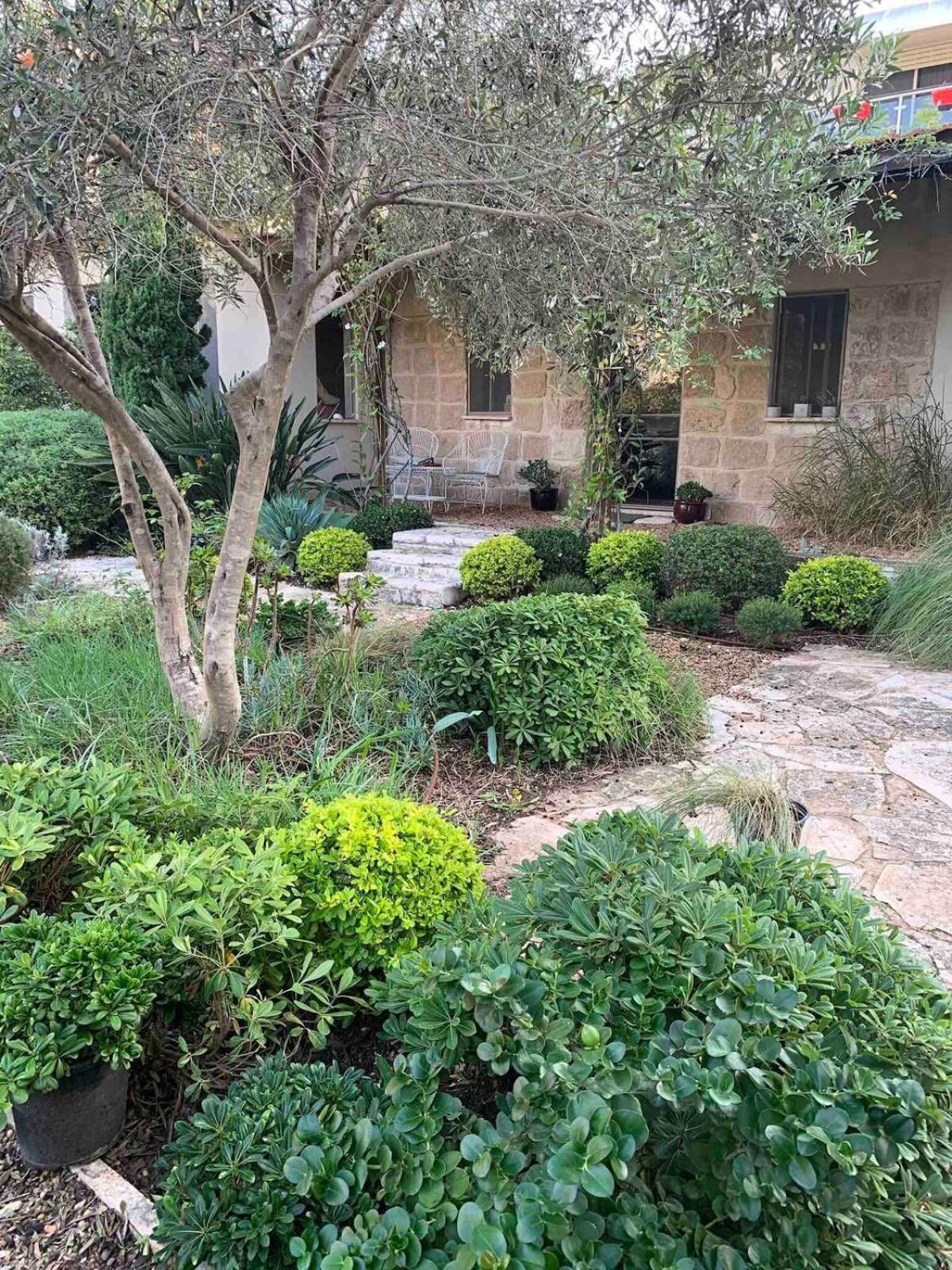 Apartment Mediterranean Stone Zikhron Ya'akov