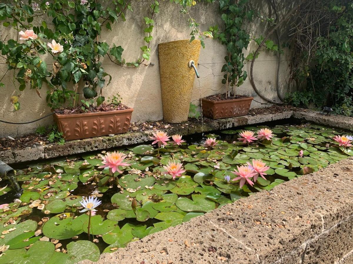 Mediterranean Stone Apartment Zikhron Ya'akov